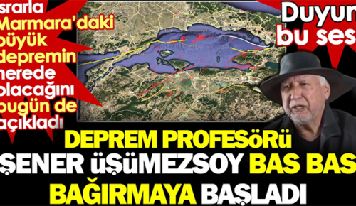 Profesör Şener Üşümezsoy bas bas bağırmaya başladı