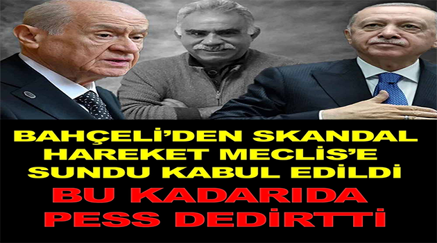 Bahçeli Meclise Sundu