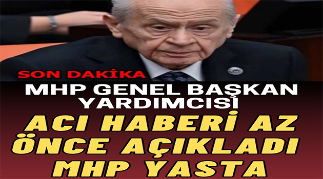 Genel Başkan Yardımcısı